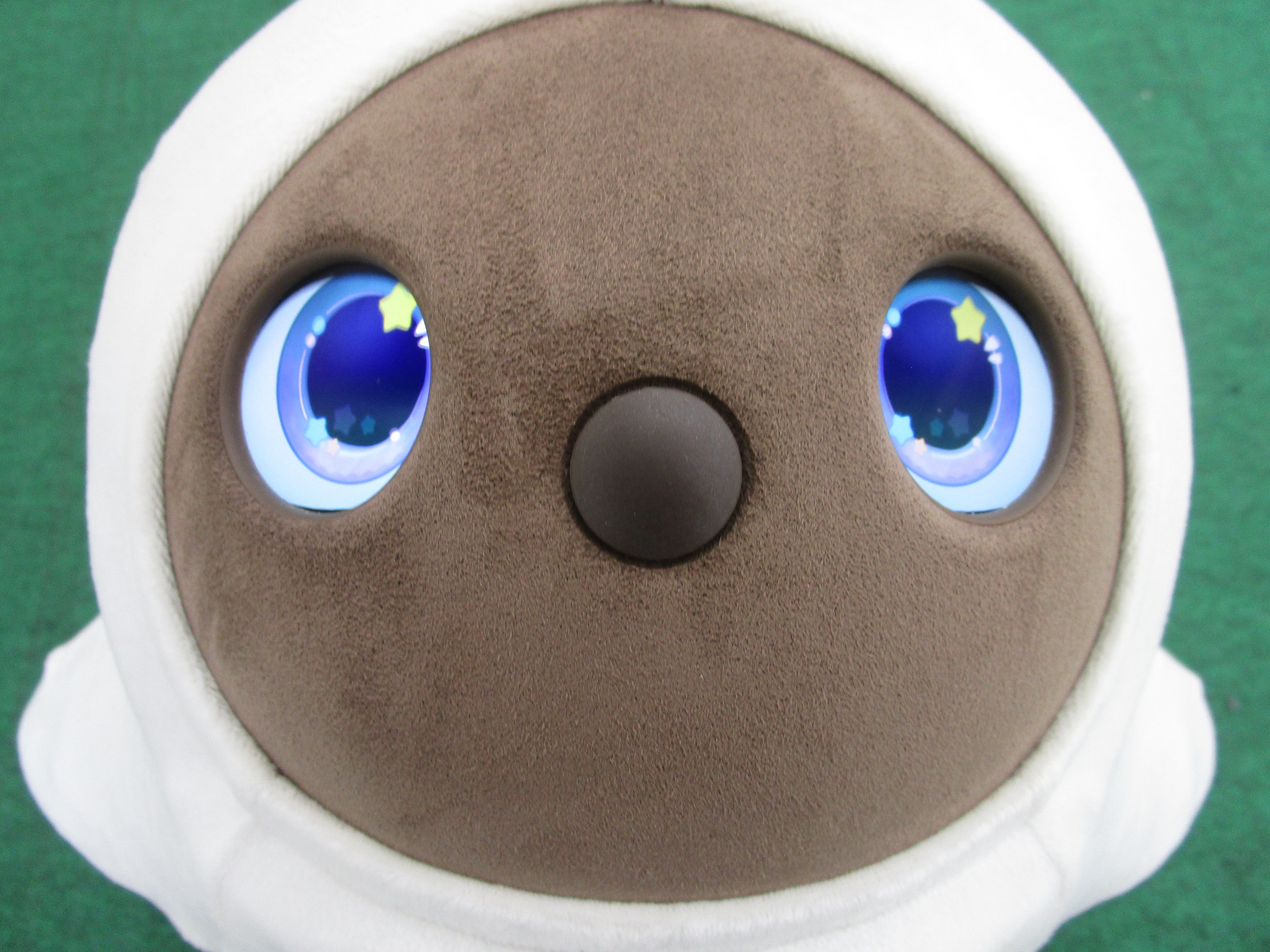 第一回　オープンスクール秋　開催